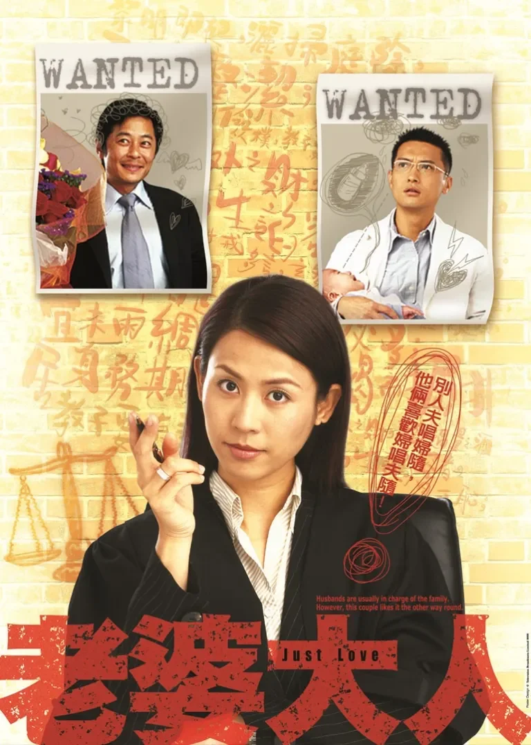 老婆大人[普通话版]电视剧海报