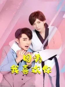 因为我喜欢你电视剧海报