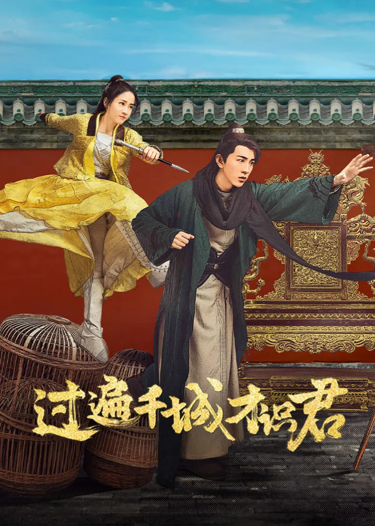 过遍千城才识君电视剧海报