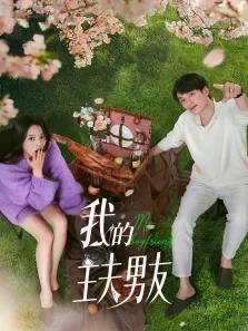 我的主夫男友电视剧海报