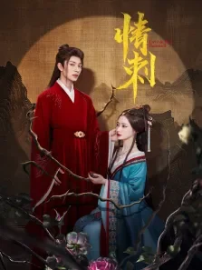 情刺电视剧海报