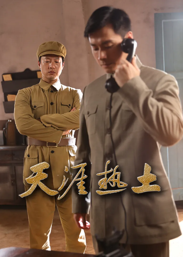 天涯热土电视剧海报