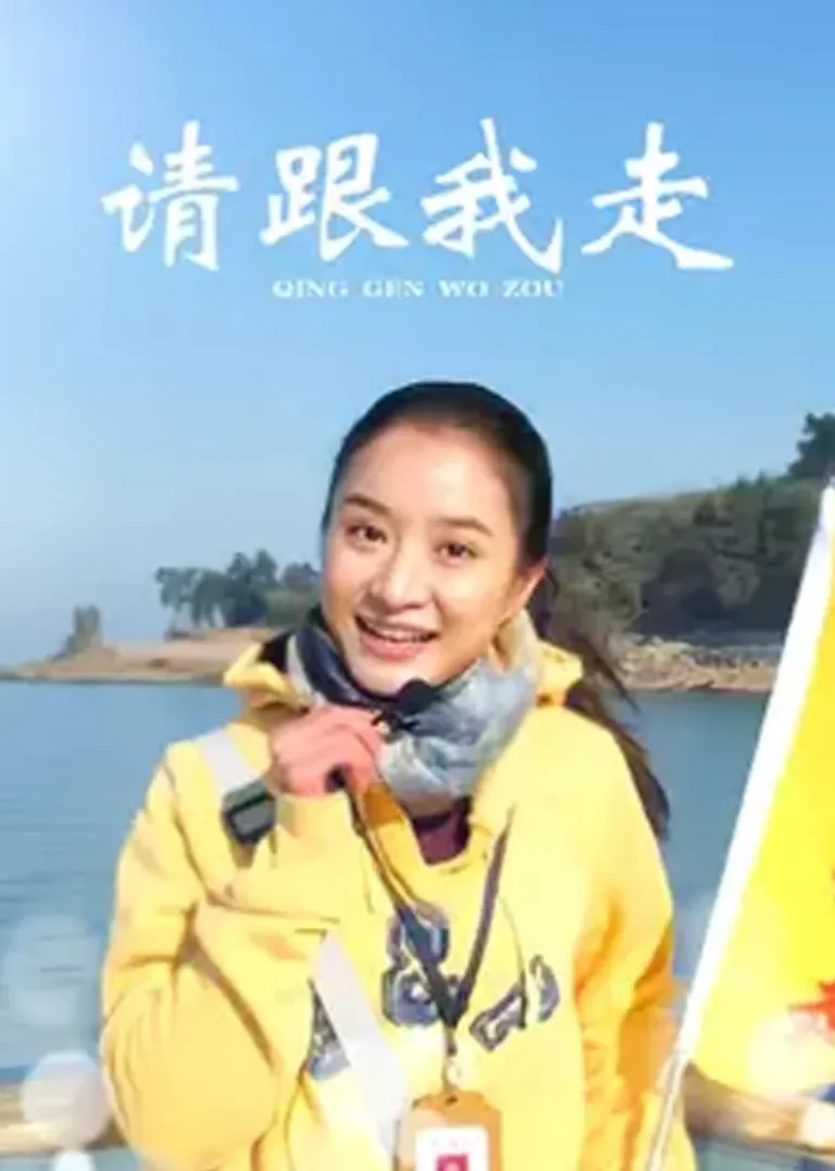 请跟我走电视剧海报