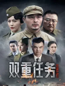 双重任务电视剧海报