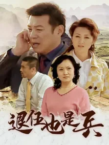 退伍也是兵电视剧海报