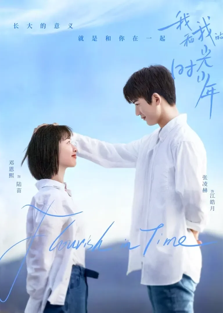 我和我的时光少年电视剧海报