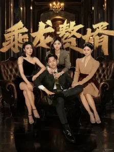 乘龙赘婿电视剧海报