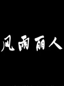 风雨丽人电视剧海报