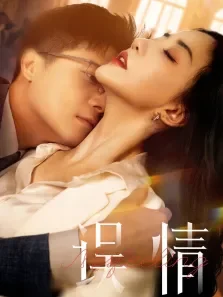 误情电视剧海报