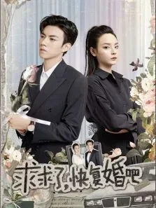 求求了，快复婚吧电视剧海报
