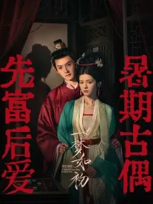 一梦如初电视剧海报