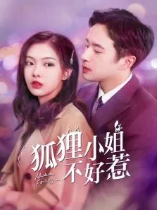 狐狸小姐不好惹电视剧海报