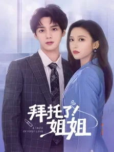 拜托了！姐姐电视剧海报