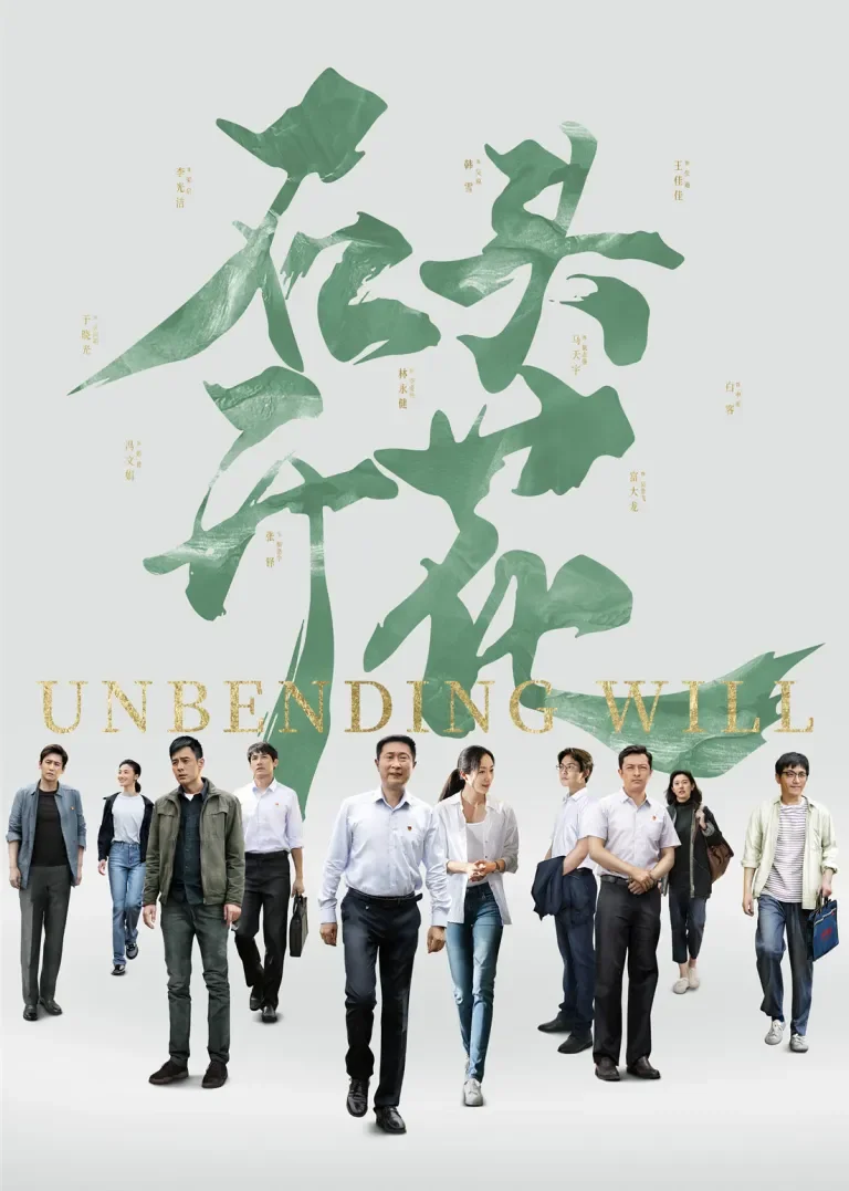 石头开花电视剧海报