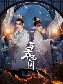 与君无间电视剧海报