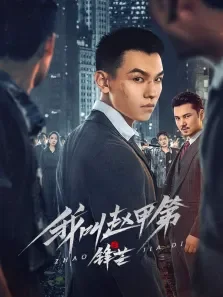 我叫赵甲第之锋芒电视剧海报