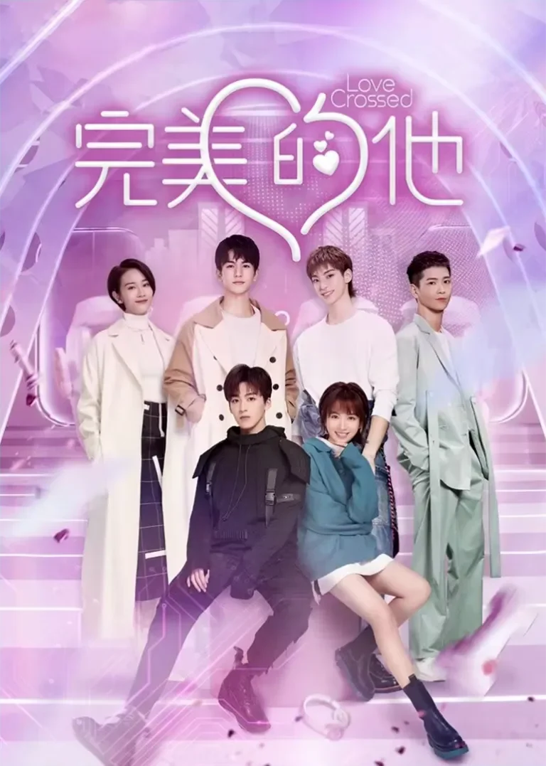 完美的他电视剧海报