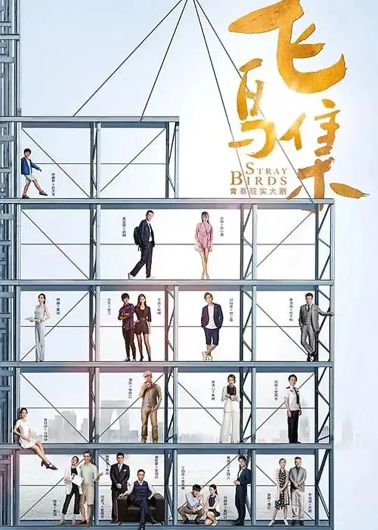 飞鸟集电视剧海报