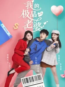 我的极品老婆电视剧海报