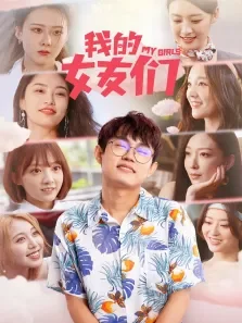 我的女友们电视剧海报