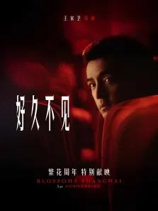 繁花剧场版电视剧海报