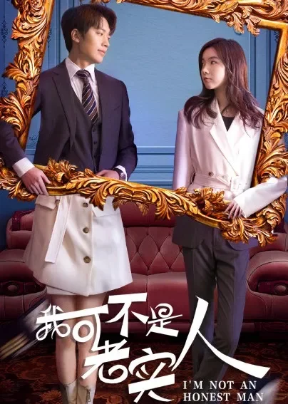 我可不是老实人电视剧海报