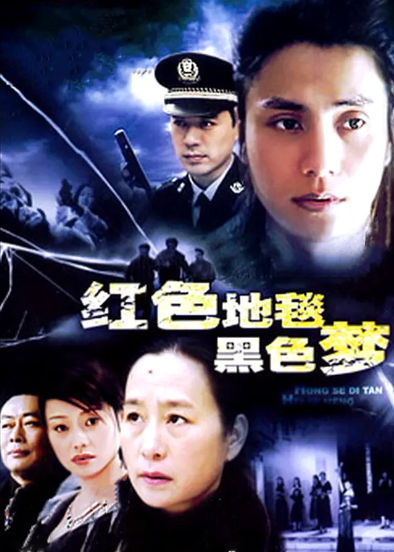 红色地毯黑色梦电视剧海报