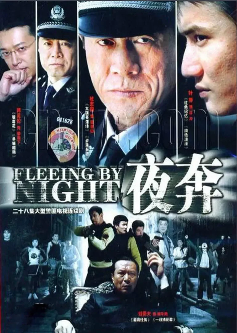 夜奔电视剧海报