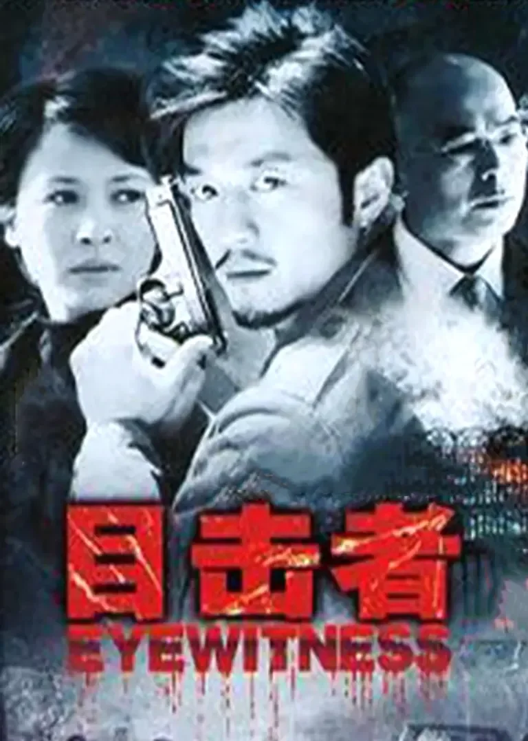 目击者电视剧海报