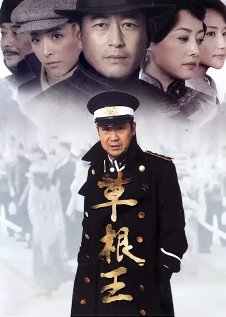 草根王电视剧海报