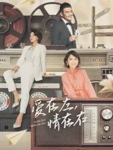 爱在左，情在右电视剧海报