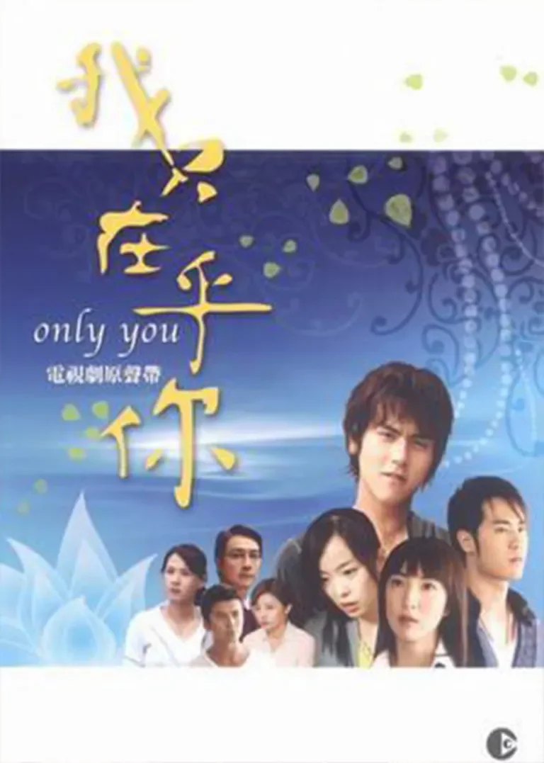 我只在乎你电视剧海报