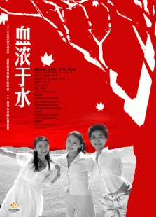 血浓于水电视剧海报