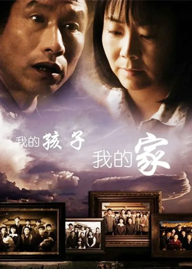 我的孩子我的家电视剧海报
