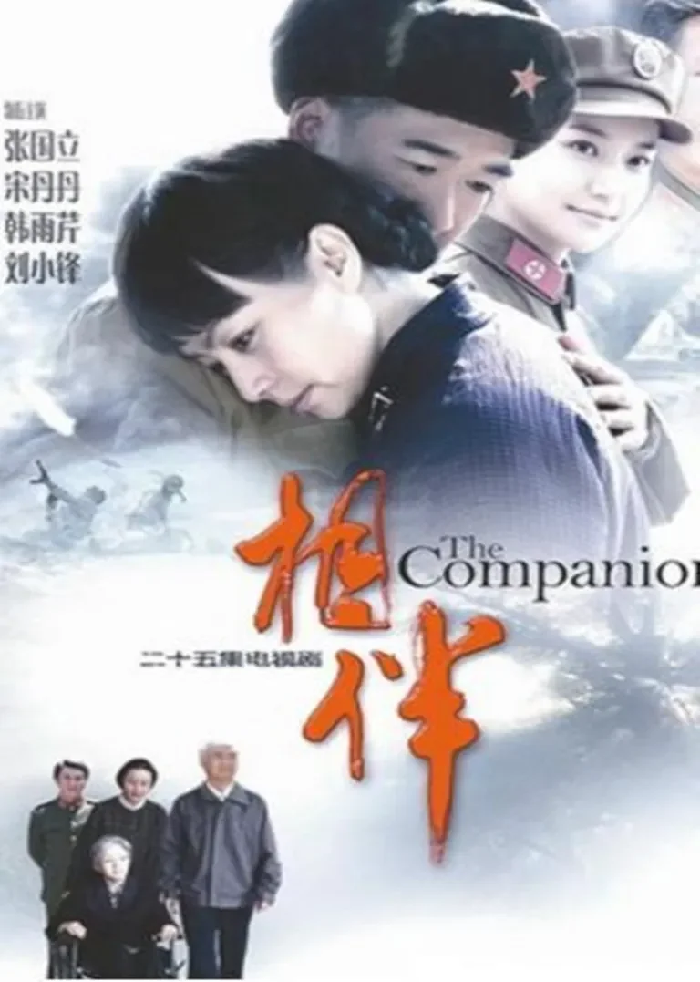 相伴电视剧海报