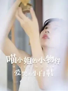 喵小姐的小物件电视剧海报
