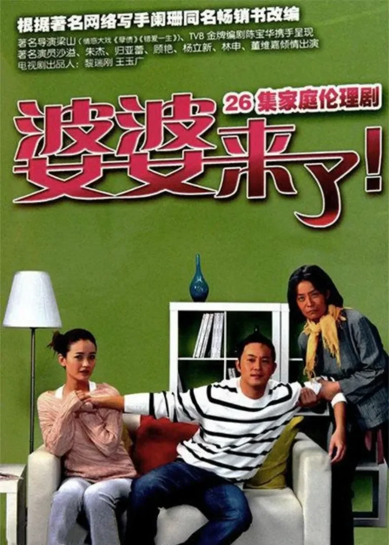 婆婆来了电视剧海报
