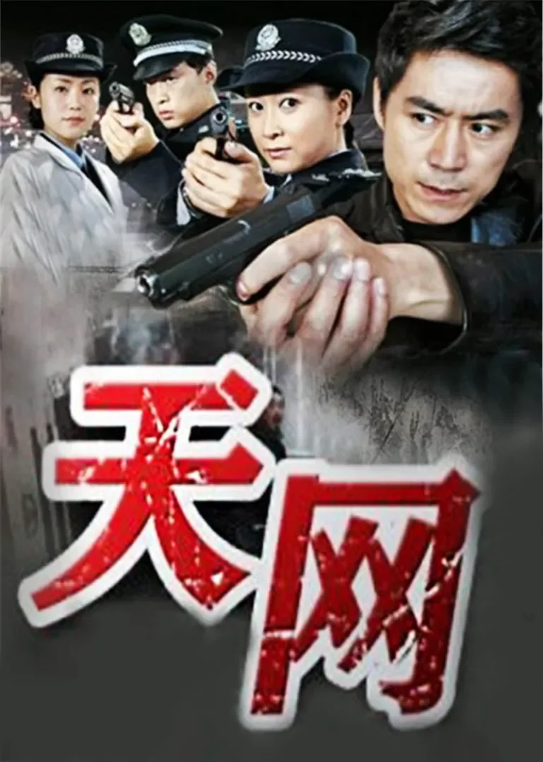 天网电视剧海报
