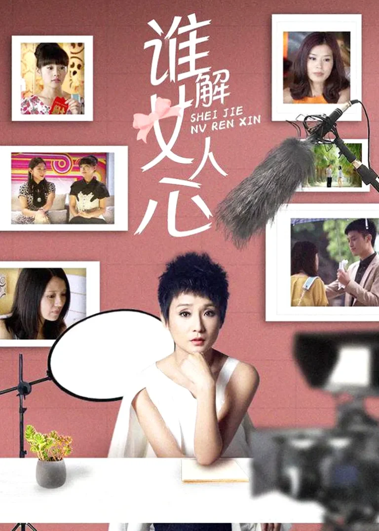 谁解女人心电视剧海报