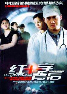 背后（医疗黑幕纪实赵纯阳）
