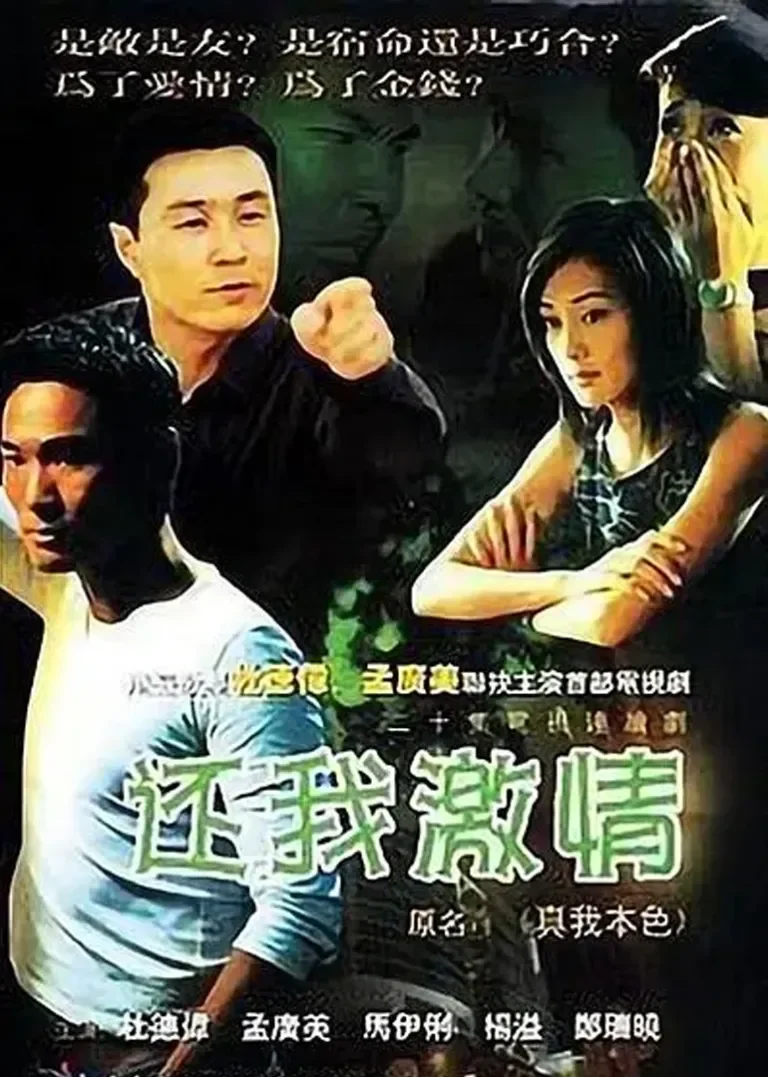 还我激情电视剧海报