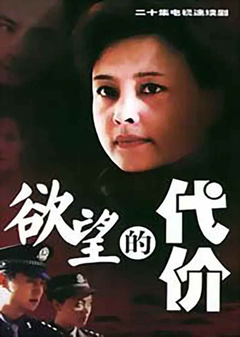 欲望的代价电视剧海报