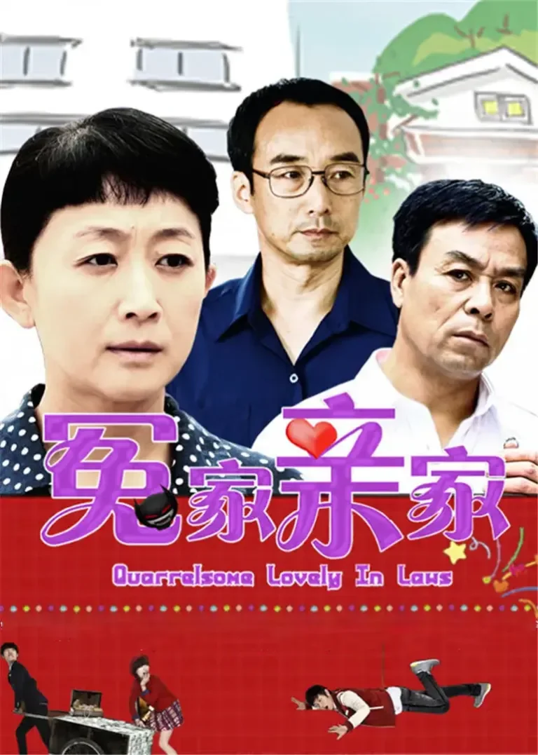 冤家亲家电视剧海报