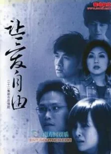 让爱自由电视剧海报