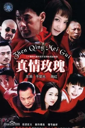 真情玫瑰电视剧海报