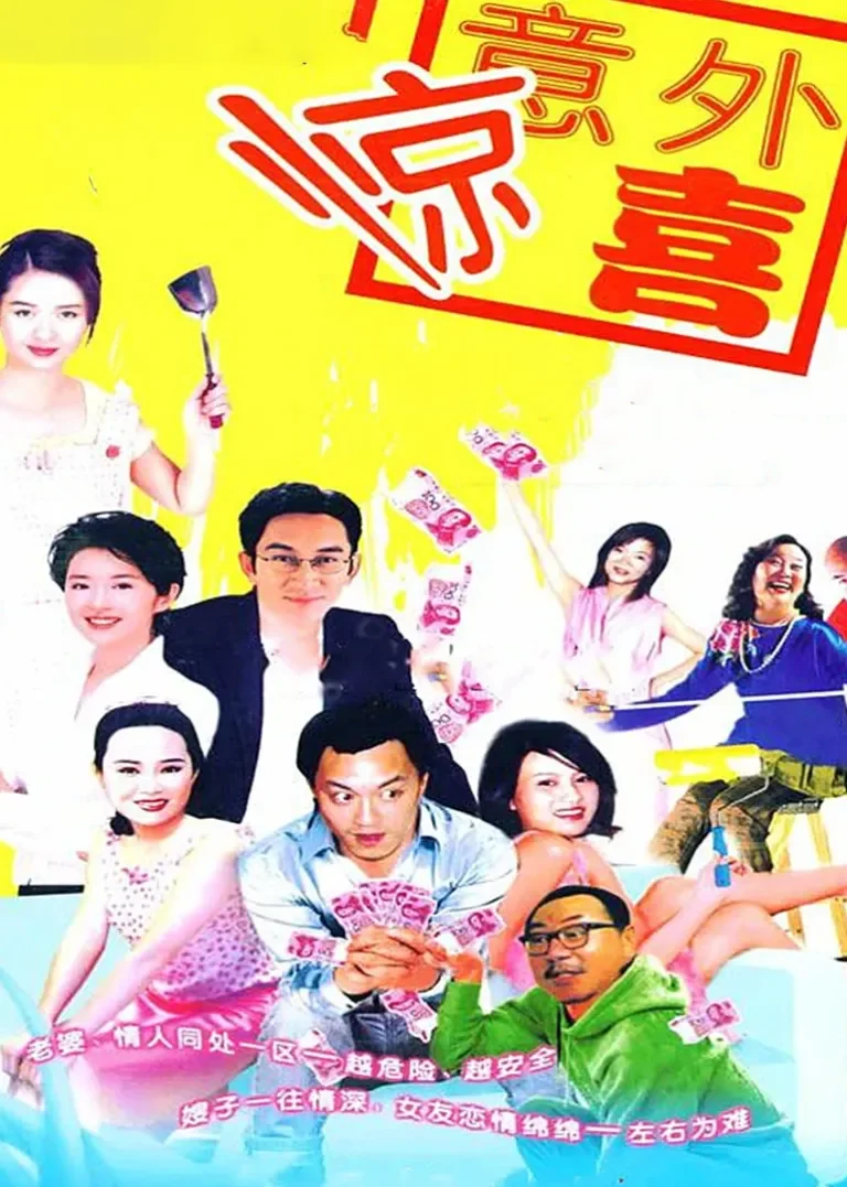 将装修进行到底电视剧海报