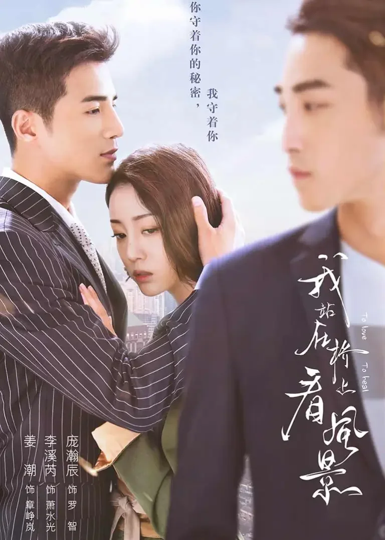我站在桥上看风景[DVD版]电视剧海报