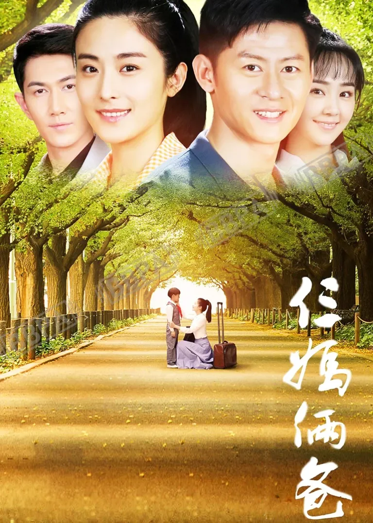 我的仨妈俩爸电视剧海报