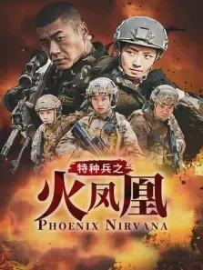 我是特种兵之火凤凰电视剧海报
