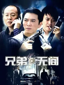 兄弟无间电视剧海报